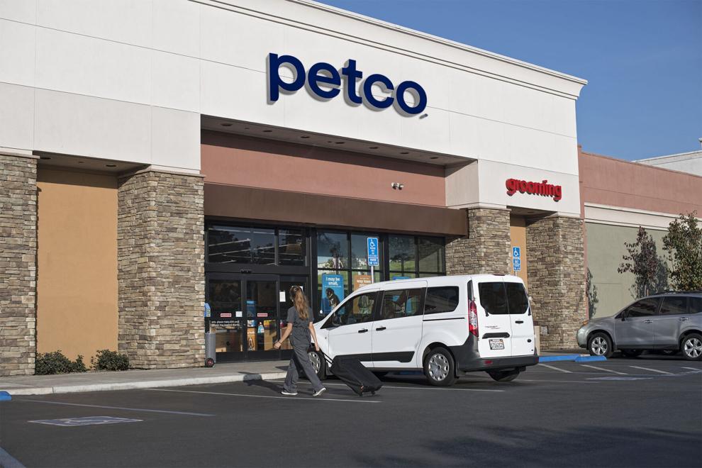 The Many Advantages Of PETCO Dog Food