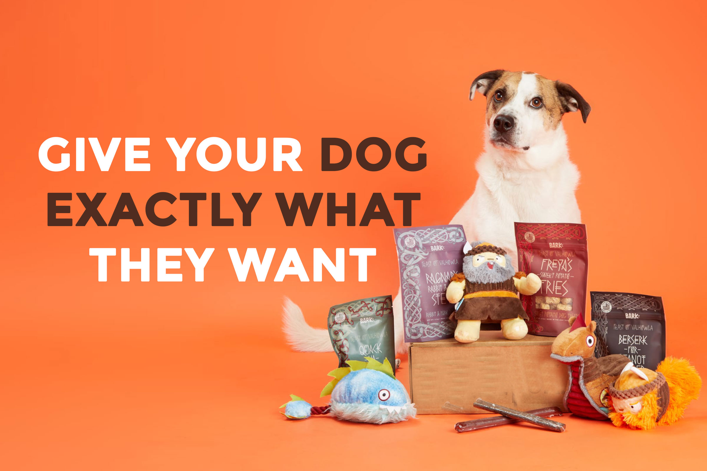 BarkBox Subscription Review