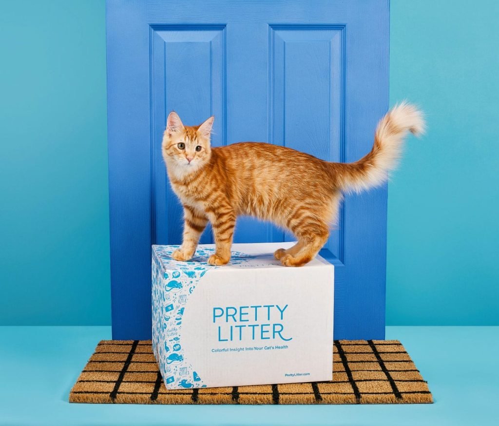 Pretty Litter