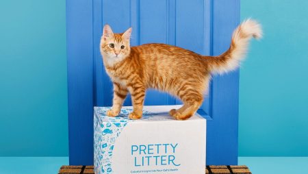 Is Pretty Litter the Best Choice for Your Cat? Read Our Review